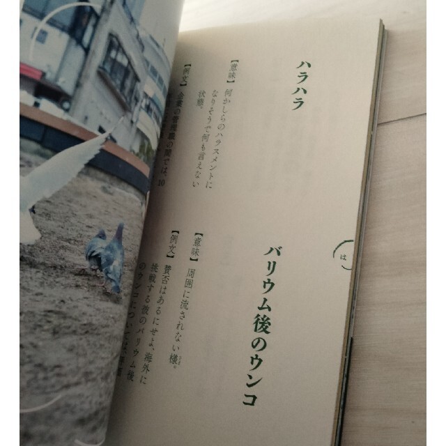妄想国語辞典 エンタメ/ホビーの本(アート/エンタメ)の商品写真