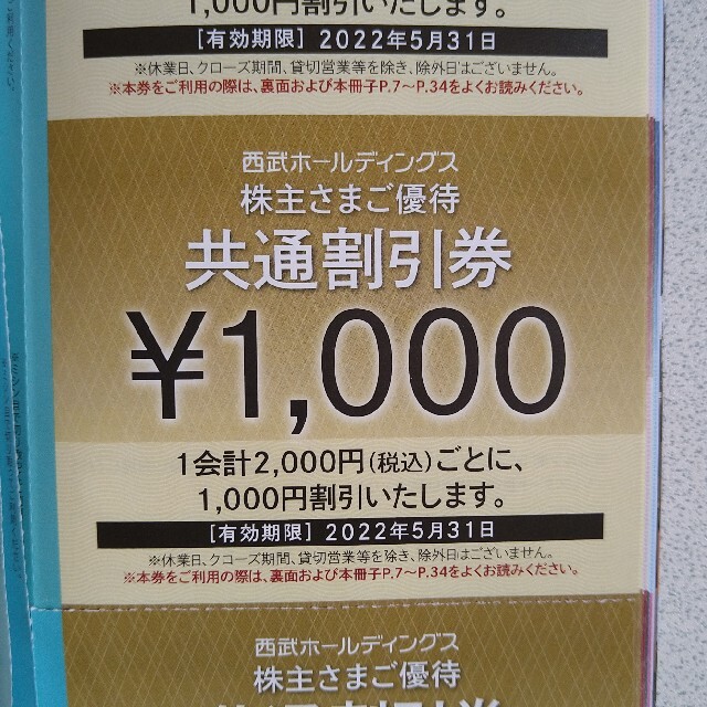 西武ホールディングス株主優待　共通割引券１０枚