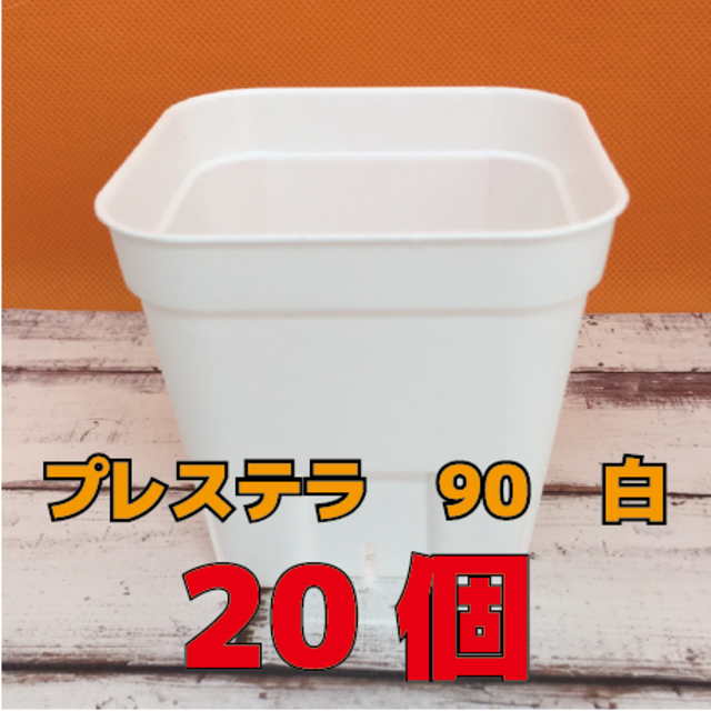 【大量入荷】プレステラ　90　白　20個　【多肉植物の植え替え用に】 ハンドメイドのフラワー/ガーデン(プランター)の商品写真