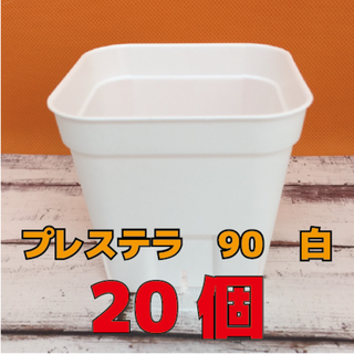 【大量入荷】プレステラ　90　白　20個　【多肉植物の植え替え用に】(プランター)