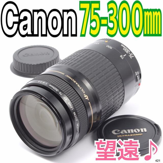 Canon(キヤノン)の【M様専用】✨大迫力の望遠レンズ♪✨キヤノン Canon EF 75-300mm スマホ/家電/カメラのカメラ(レンズ(ズーム))の商品写真