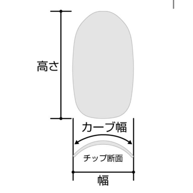 量産型 地雷系 ネイルチップ 現品 黒 バラ 埋めつくし 病みかわいい