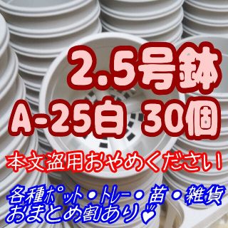 A-25 白 30個 プラ鉢 2.5号鉢 スリット鉢 丸 プレステラ 多肉植物(プランター)