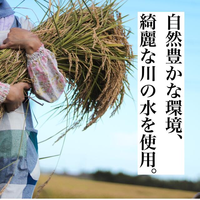 米/穀物令和3年度 新米 送料無料  農家直送 埼玉県産 彩のきずな 20キロ 白米