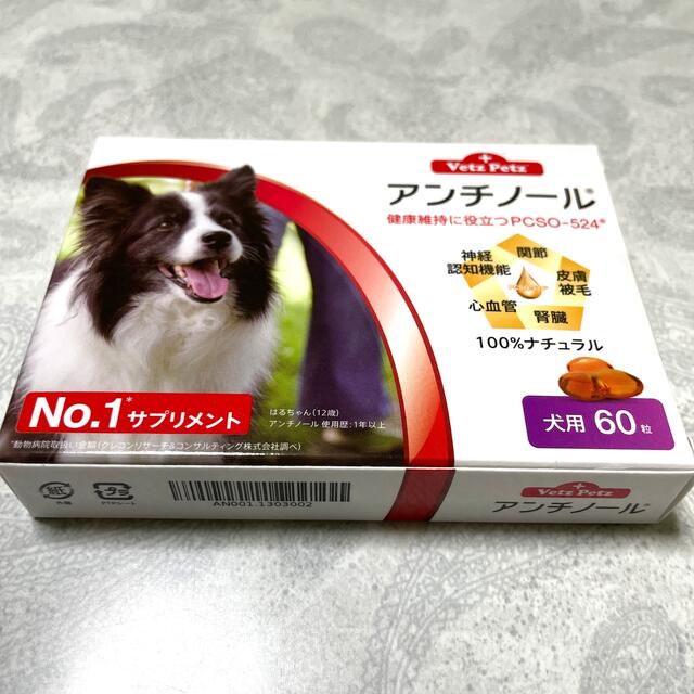 犬用　アンチノール　60粒　未開封