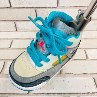 ナイキ(NIKE)の【オマケ付き】美品NIKEジョーダン スパイジーク　パターカバー(その他)