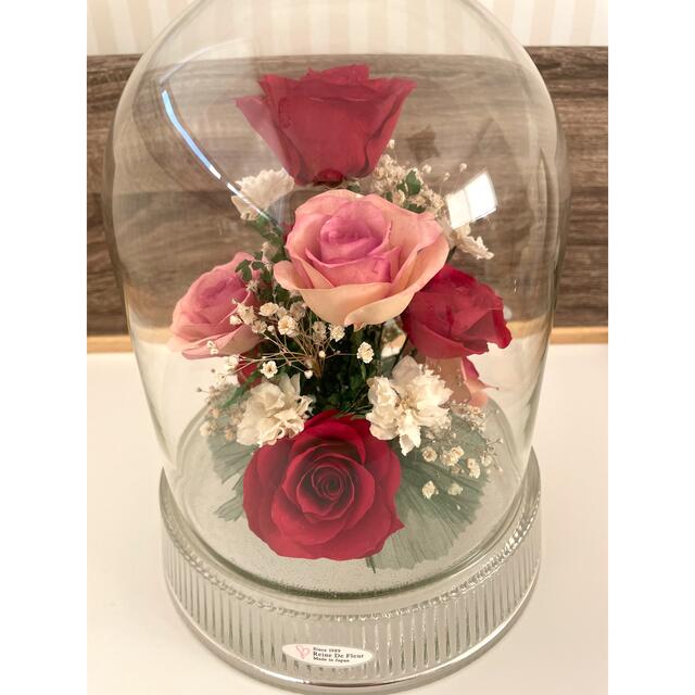 期間限定¥4700→4200 レンデフロール ガラスドーム プリザードフラワー