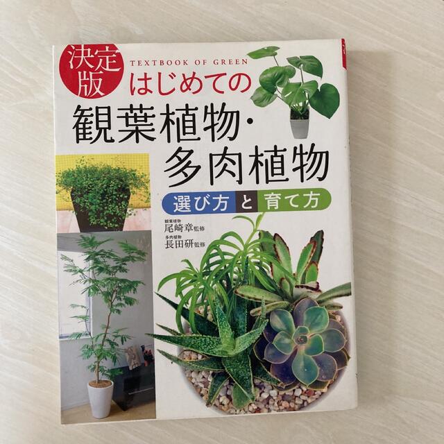 はじめての観葉植物・多肉植物選び方と育て方 決定版 エンタメ/ホビーの本(趣味/スポーツ/実用)の商品写真