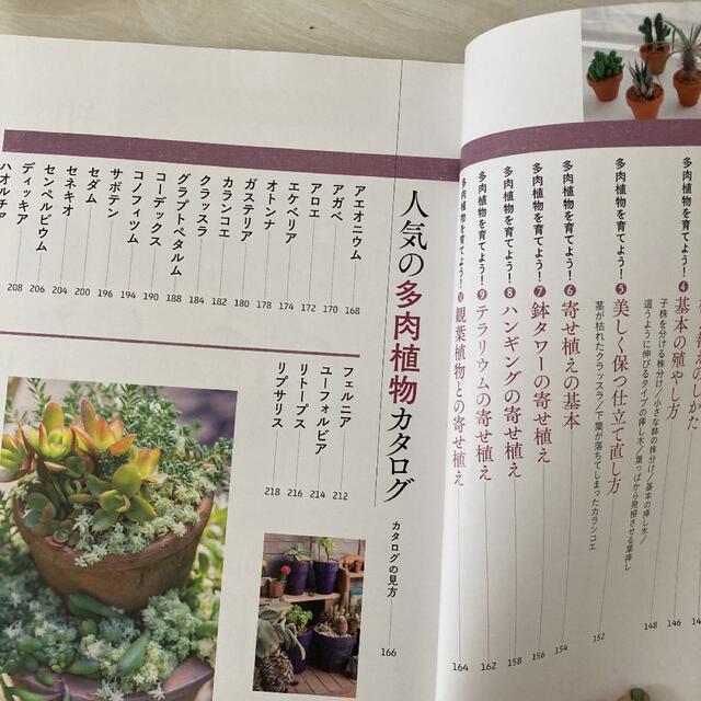 はじめての観葉植物・多肉植物選び方と育て方 決定版 エンタメ/ホビーの本(趣味/スポーツ/実用)の商品写真