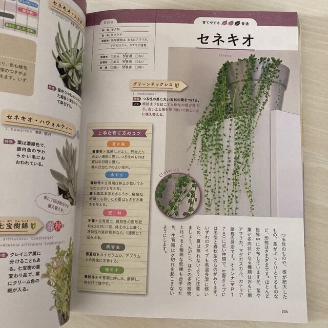 はじめての観葉植物・多肉植物選び方と育て方 決定版 エンタメ/ホビーの本(趣味/スポーツ/実用)の商品写真