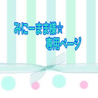 みにーまま様☆専用ページ(バッグ/レッスンバッグ)