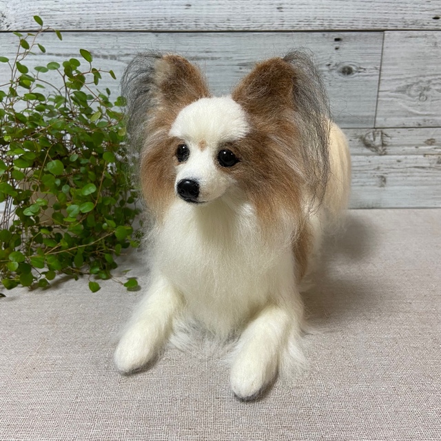 羊毛フェルト　犬　パピヨン