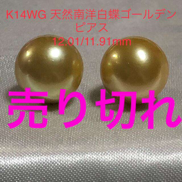 豪華 K14WG 天然南洋白蝶ゴールデン真珠ピアス 12.01/11.91mm