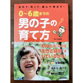 ヨウセンシャ(洋泉社)の『ほめて、叱って、遊んで伸ばす！0〜6歳までの男の子の育て方』洋泉社育児子育て本(住まい/暮らし/子育て)