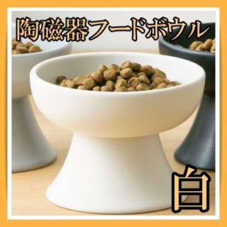 陶磁器製フードボウル　白　シンプル　ペット用 フードボウル　餌入れ　ペット　猫(猫)