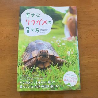 幸せなリクガメの育て方(住まい/暮らし/子育て)