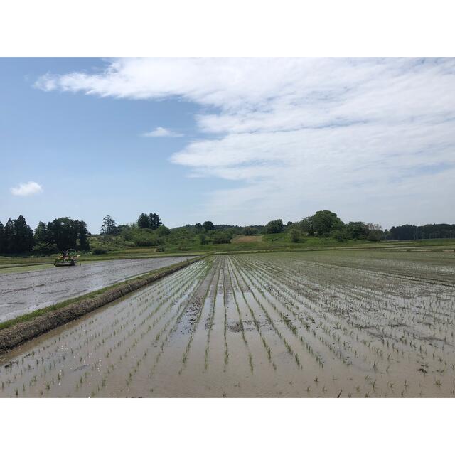 農家直送】金のいぶき 2kg 玄米 玄米食 米 お米 特A米農家