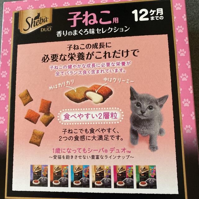 シーバ　デュオ　子ねこ用　5袋 その他のペット用品(猫)の商品写真