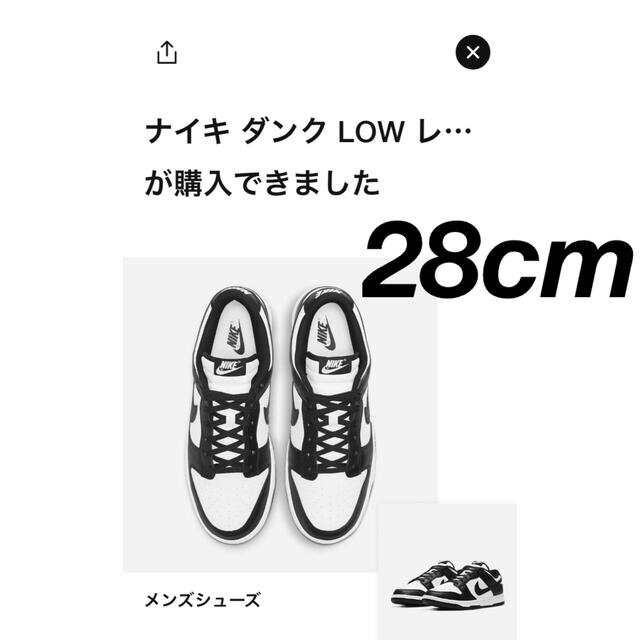 NIKE(ナイキ)のNIKE DUNK LOW RETRO"PANDA" メンズの靴/シューズ(スニーカー)の商品写真