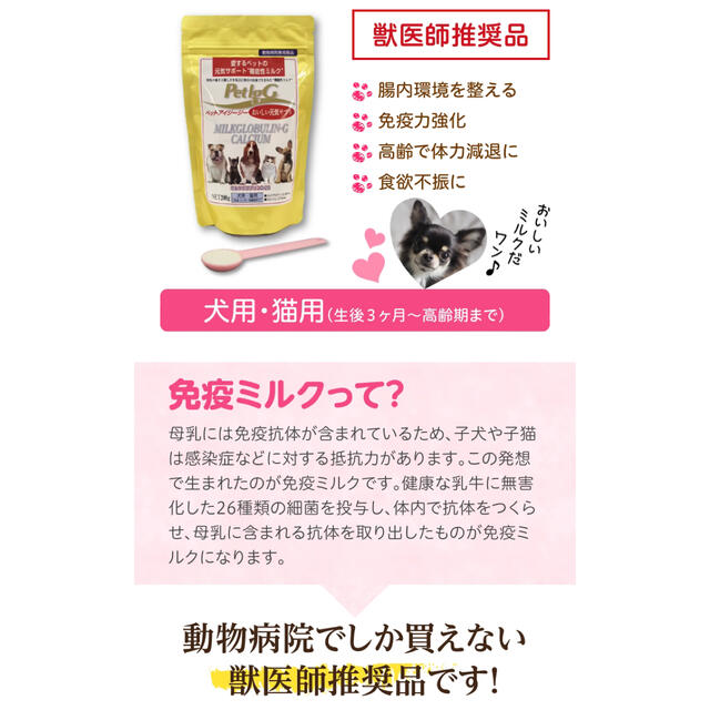 ペットigG  免疫ミルク その他のペット用品(ペットフード)の商品写真