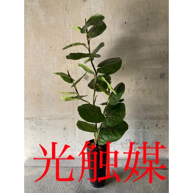 光触媒 人工観葉植物 ウォールグリーン フェイク フラワー シー ...