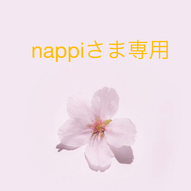 nappiさま専用 ハンドメイドのキッズ/ベビー(バッグ/レッスンバッグ)の商品写真