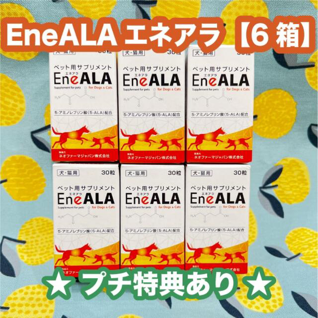 エネアラ　犬猫用　30粒　6箱〈おまけ付き〉