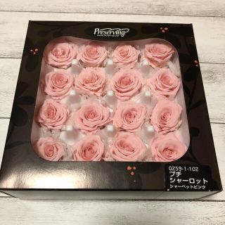 大地農園　プチシャーロット　バラ売り(プリザーブドフラワー)