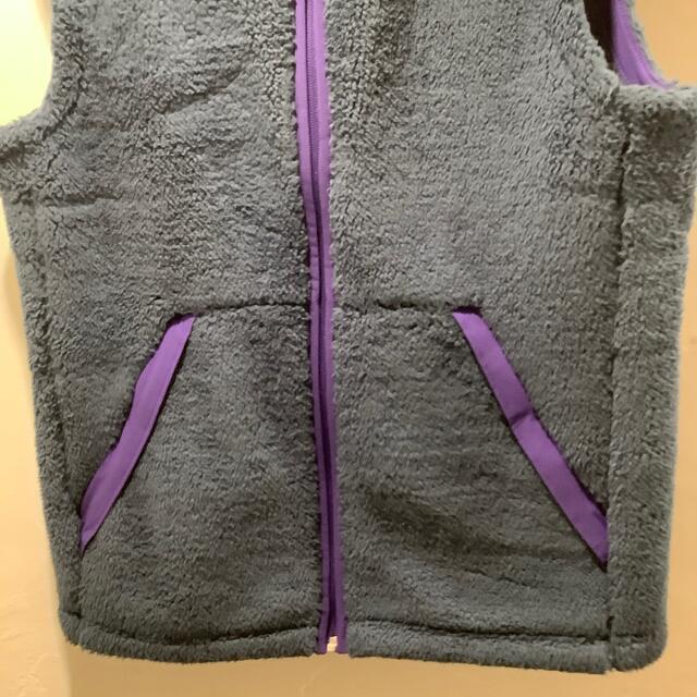 THE NORTH FACE(ザノースフェイス)のTHE NORTH FACEフリースベストノースフェイスブルーグレー メンズのトップス(ベスト)の商品写真