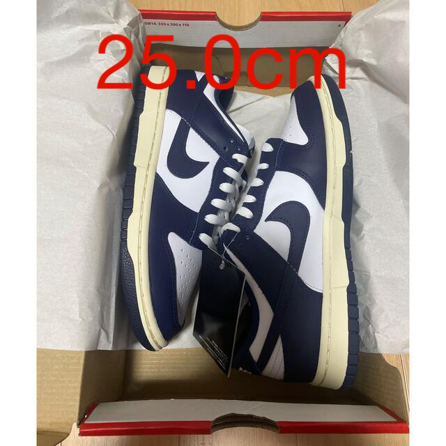 25.0cm Nike WMNS Dunk Low Vintage Navy