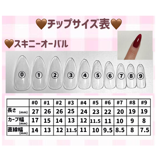 ネイルチップサイズ表つけ爪/ネイルチップ