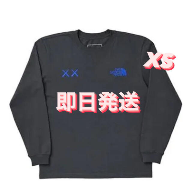 The North Face Kaws L/S Tee 【高い素材】 8330円引き www.gold-and
