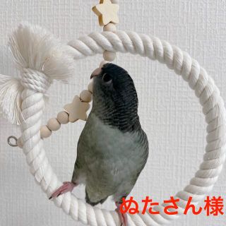 ぬたさん様 《ぬくぬくブランコ,ゆらゆらツンツン,止まり木くるりん コルク》(鳥)