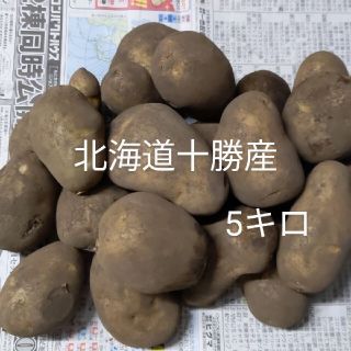 農家直送！メークイン、いも、じゃがいも(野菜)