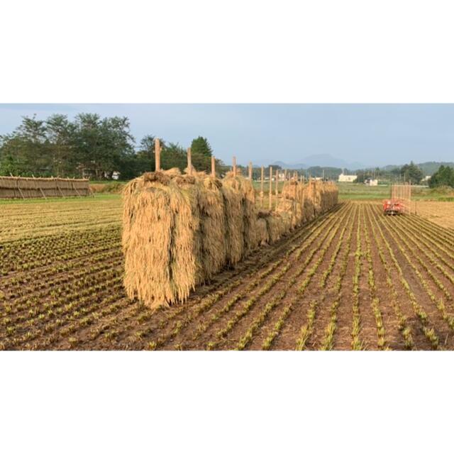 【あん様】専用 天日干し自然乾燥はさがけ米宮城産ひとめぼれ離島除き送料無料精米可