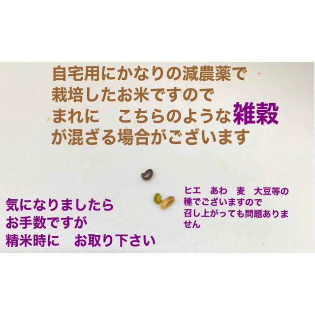 【あん様】専用　天日干し自然乾燥はさがけ米宮城産ひとめぼれ離島除き送料無料精米可