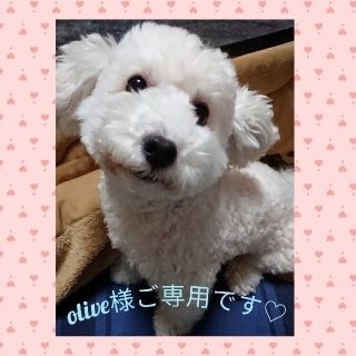 ミナペルホネン(mina perhonen)の⭐olive様ご専用です🎵　ミナペルホネン　スマホクッション　送料込み❕(その他)