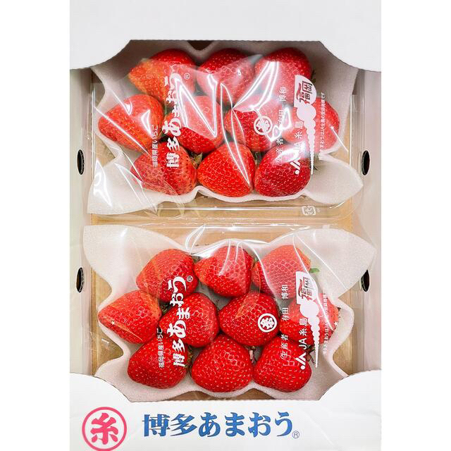 高級苺！福岡県産【あまおう】グランデorデラックス5Lサイズ 10パック(5箱) フルーツ