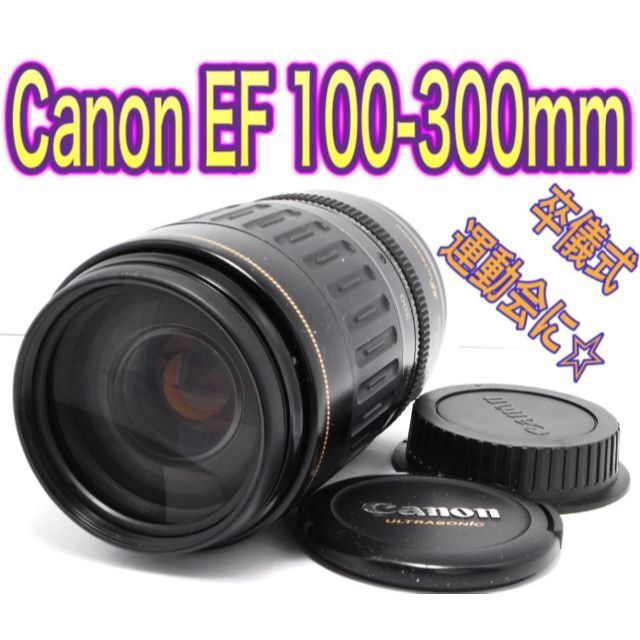 ✨極美品✨Canon EF100-300mm USM フルサイズ対応⭐