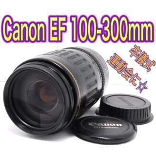 キヤノン(Canon)の✨極美品✨Canon EF100-300mm USM フルサイズ対応⭐(レンズ(ズーム))