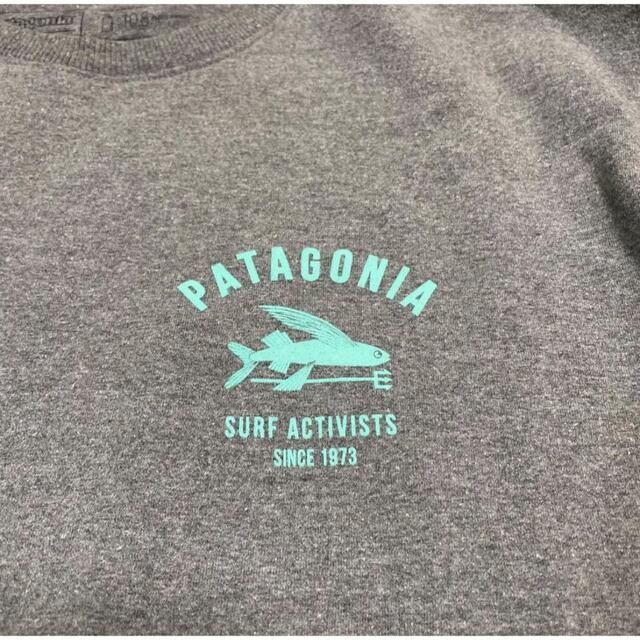 patagonia(パタゴニア)のパタゴニア　トビウオ　スウェット L メンズのトップス(スウェット)の商品写真