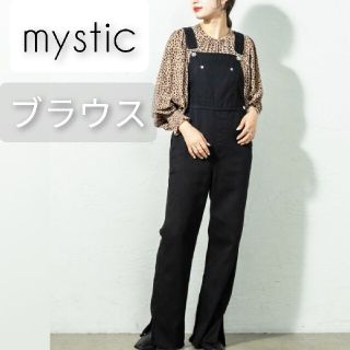 ミスティック(mystic)のmystic レオパードドット柄袖ボリュームブラウス モカブラウン(シャツ/ブラウス(長袖/七分))