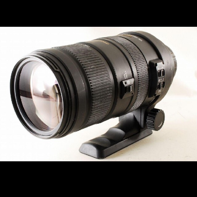 SIGMA 120-400mmニコン