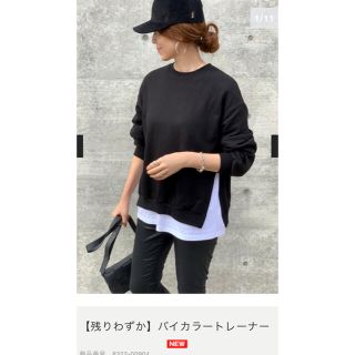 ユナイテッドアローズ(UNITED ARROWS)のチブさま専用☆デイアンドグレイド☆バイカラートレーナー(トレーナー/スウェット)