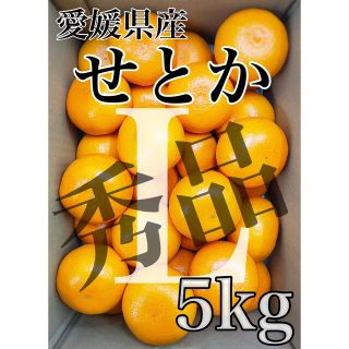 残り僅か！！愛媛県産【せとか】秀品　Lサイズ  5kg！(フルーツ)