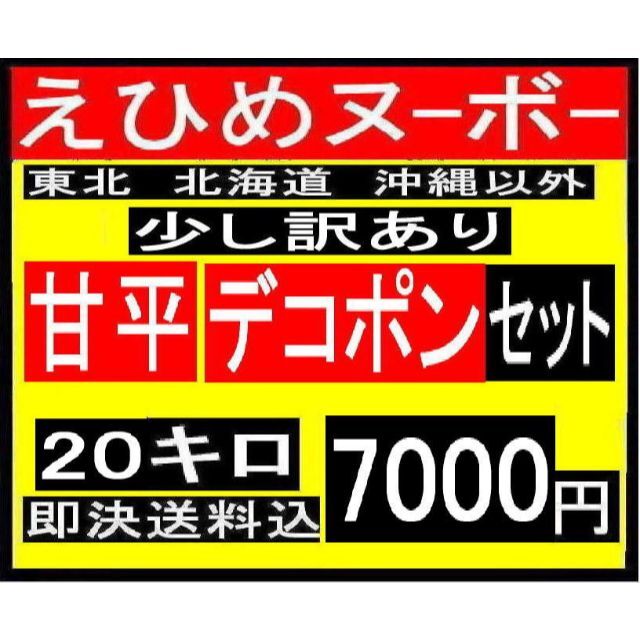 ラニカイブルー様専用　えひめヌーボーの甘平10キロと甘平・デコポンセット10キロ 食品/飲料/酒の食品(フルーツ)の商品写真