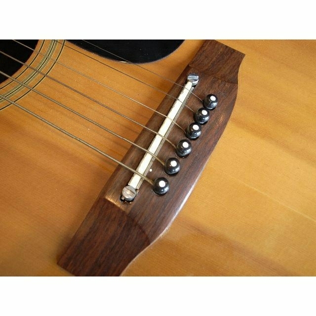 初心者、女性の方最適❗️Alvarez Regent No5205調整済 ELITE by TAKAMINE