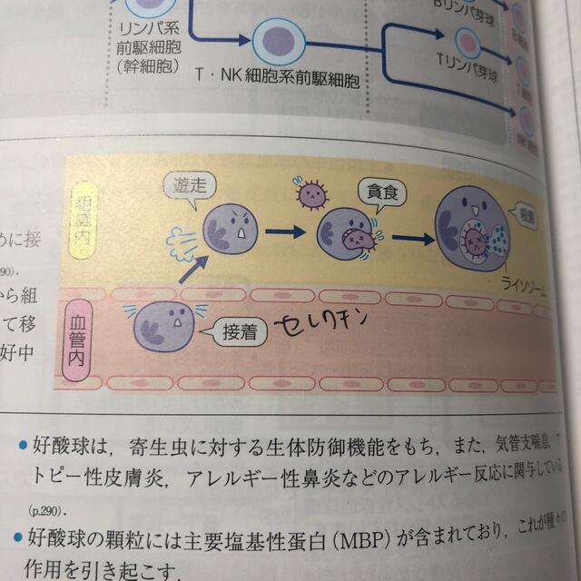 薬がみえる　vol.1,2,3健康/医学