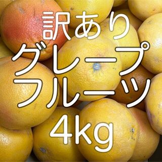 訳あり グレープフルーツ 箱込み4kg前後(フルーツ)