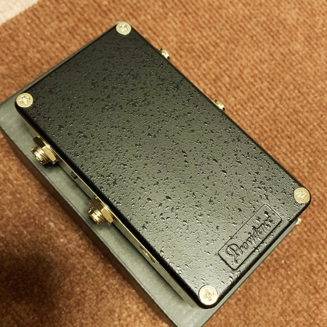 喜ばれる誕生日プレゼント Providence Gold STV-1JB / ギター